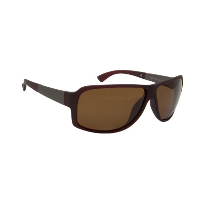 Valerio Men Horn-Rimmed Sunglasses ZH 9244/S