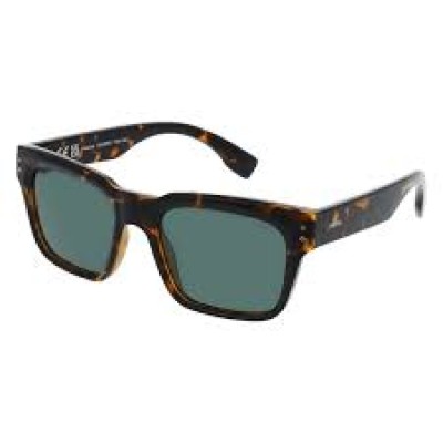 Invu Unisex Horn-Rimmed Polarized Sunglasses IB22409