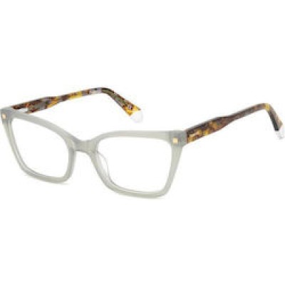 Polaroid Women Horn-Rimmed Reading Glasses PLD D520